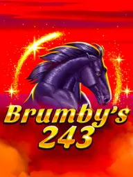 Brumby's 243