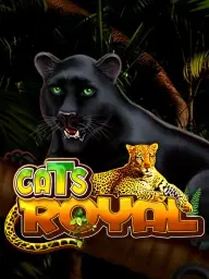 Cats Royal