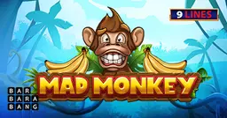 Mad Monkey