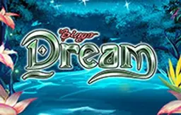 Bingo Dreams