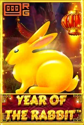 Year Of The Rabbit