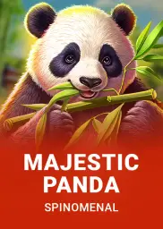 Majestic Panda