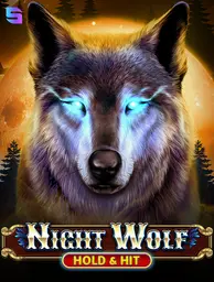 Night Wolf - Hold & Hit