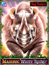 Majestic White Rhino