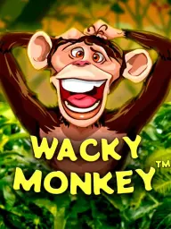 Wacky Monkey