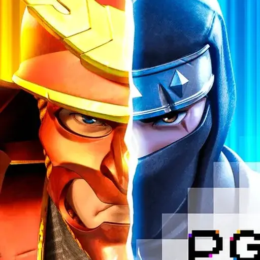 Ninja vs Samurai